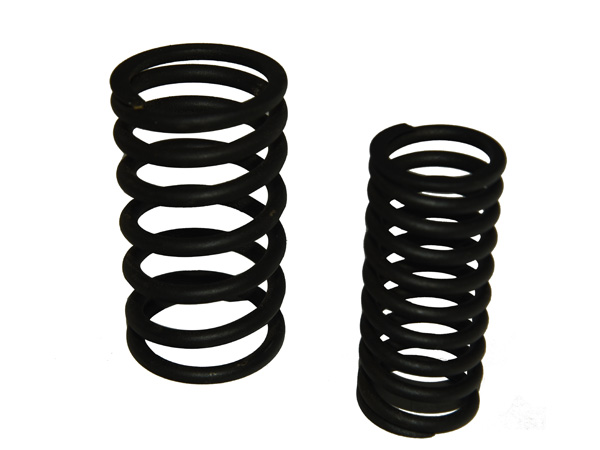Valve internal spring Z12VB.03.17A+valve external spring Z12VB.03.18A